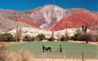 Turismo en Salta y viajes a la quebrada de Humahuaca