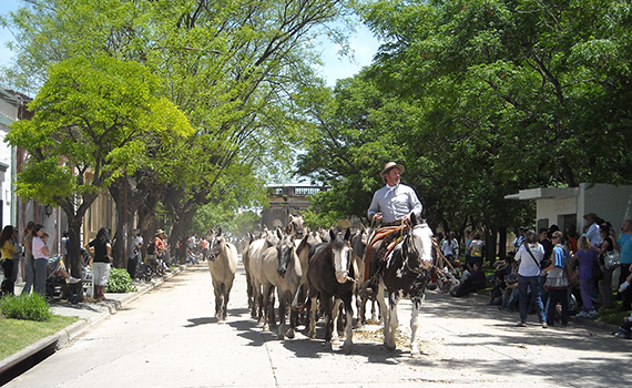 Sorprendente Buenos Aires – 8 horas –